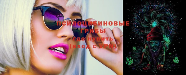 индика Бронницы