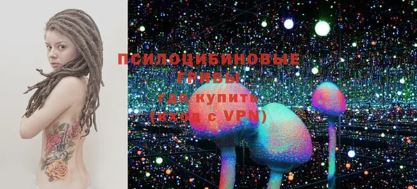 индика Бронницы