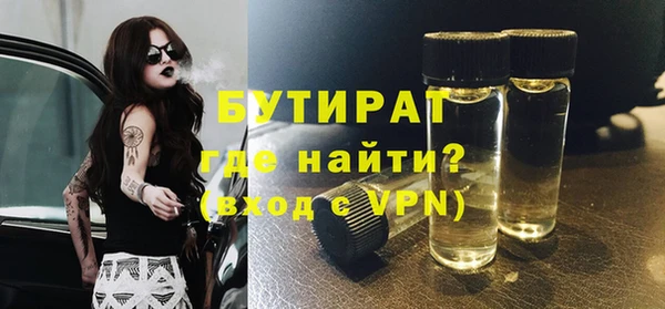 индика Бронницы